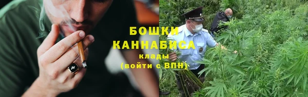 PSILOCYBIN Алексеевка