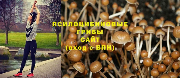 скорость Алзамай