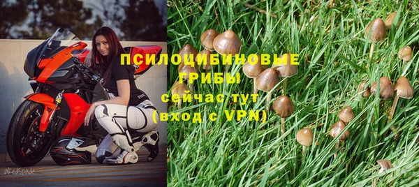 ALPHA PVP Алексин