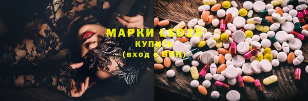PSILOCYBIN Алексеевка