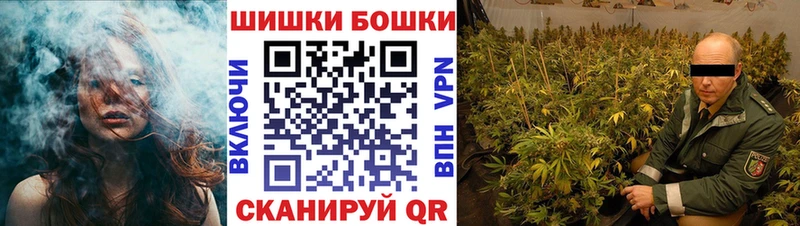 дарнет шоп  Звенигово  Каннабис OG Kush 